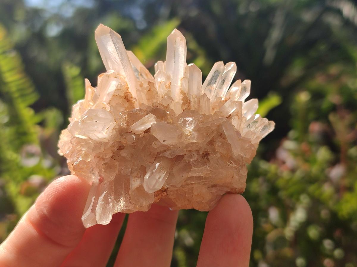 Natural Clear Quartz Clusters x 12 From Madagascar