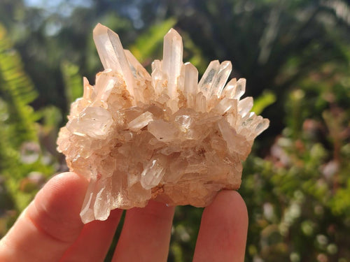 Natural Clear Quartz Clusters x 12 From Madagascar