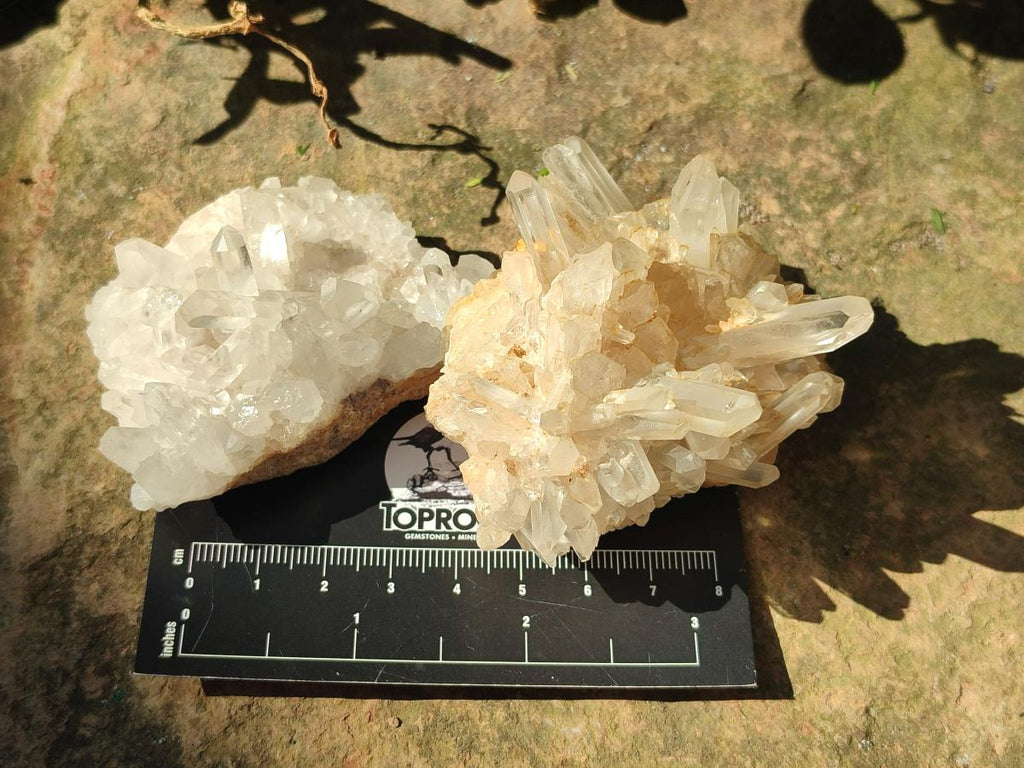 Natural Clear Quartz Clusters x 12 From Madagascar