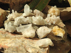 Natural Clear Quartz Clusters x 12 From Madagascar