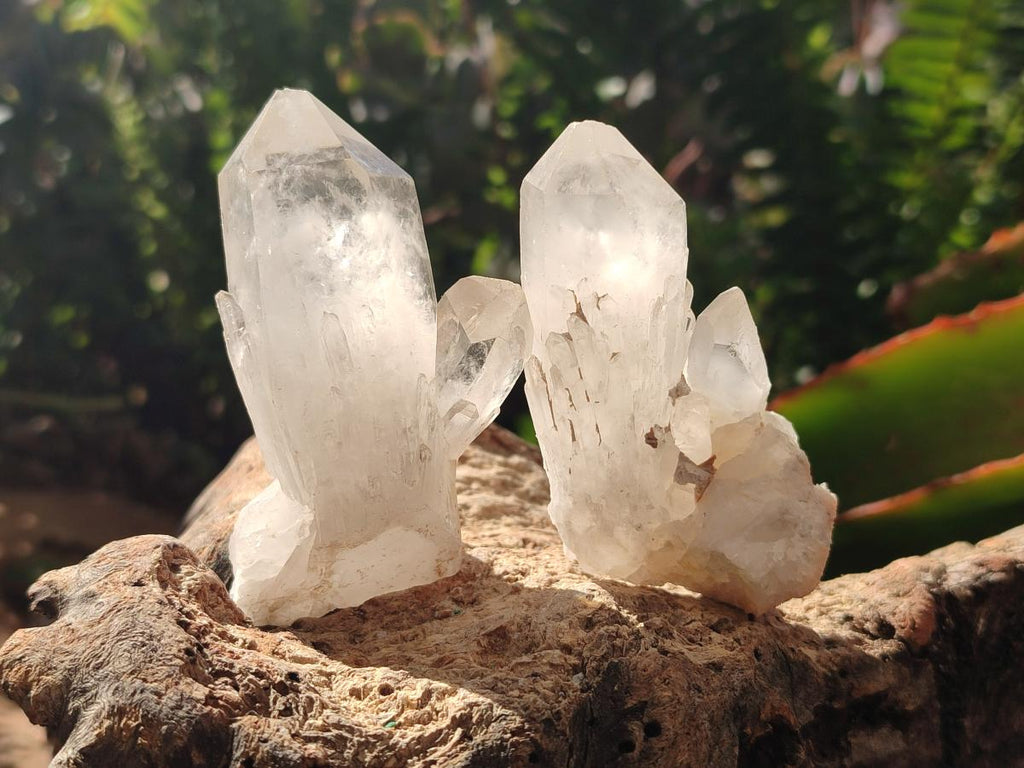 Natural Clear Quartz Clusters x 12 From Madagascar