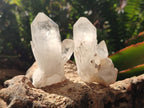 Natural Clear Quartz Clusters x 12 From Madagascar