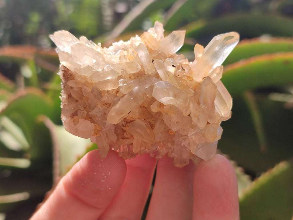 Natural Clear Quartz Clusters x 12 From Madagascar