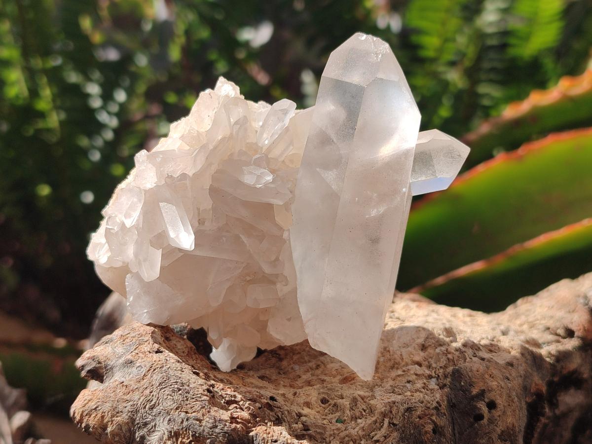Natural Clear Quartz Clusters x 12 From Madagascar