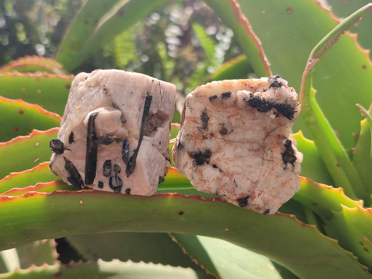Natural Aegirine Crystals with Associated Minerals x 29 From Zomba, Malawi - Toprock Gemstones and Minerals 