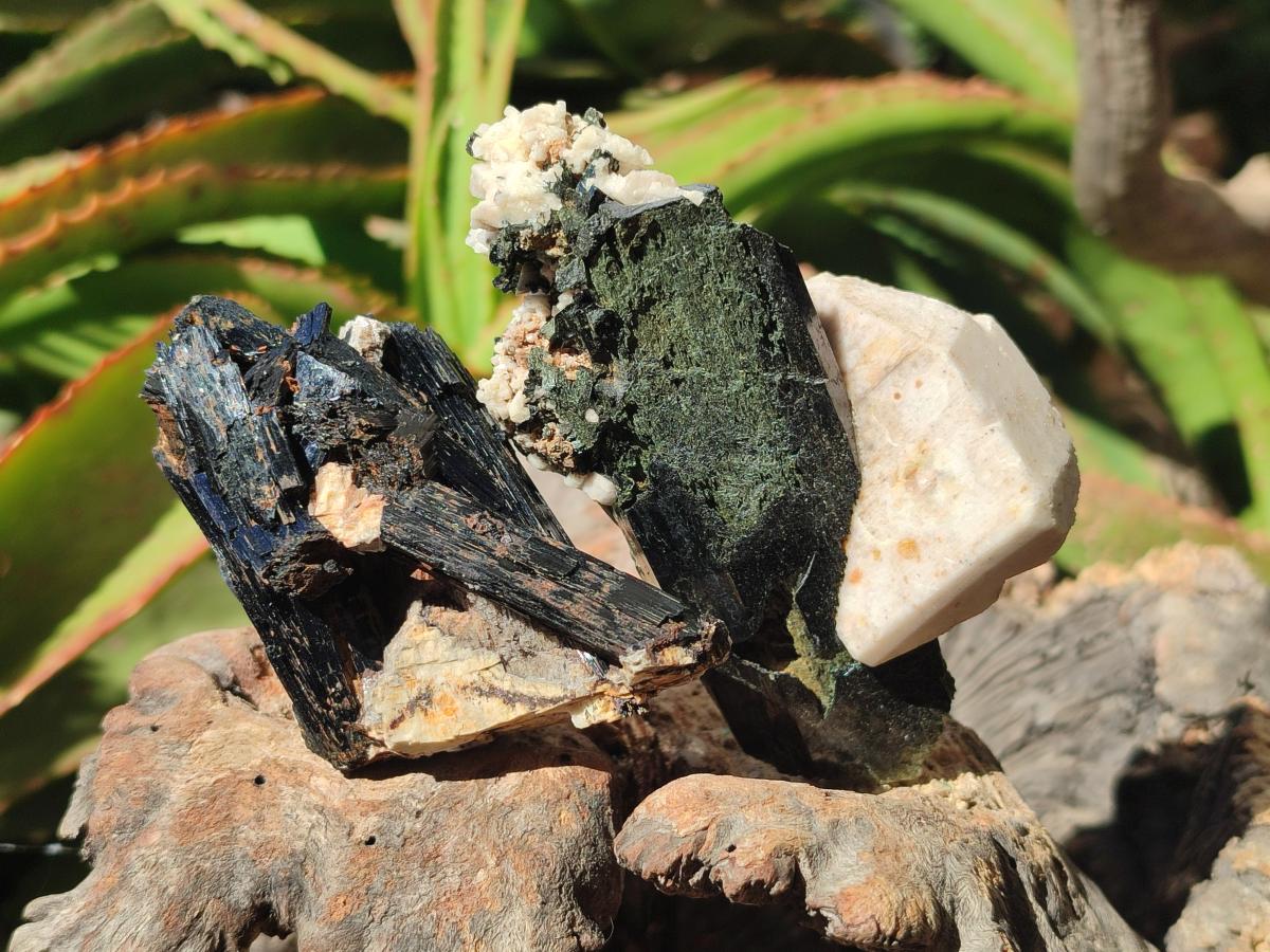 Natural Aegirine Crystals with Associated Minerals x 29 From Zomba, Malawi - Toprock Gemstones and Minerals 