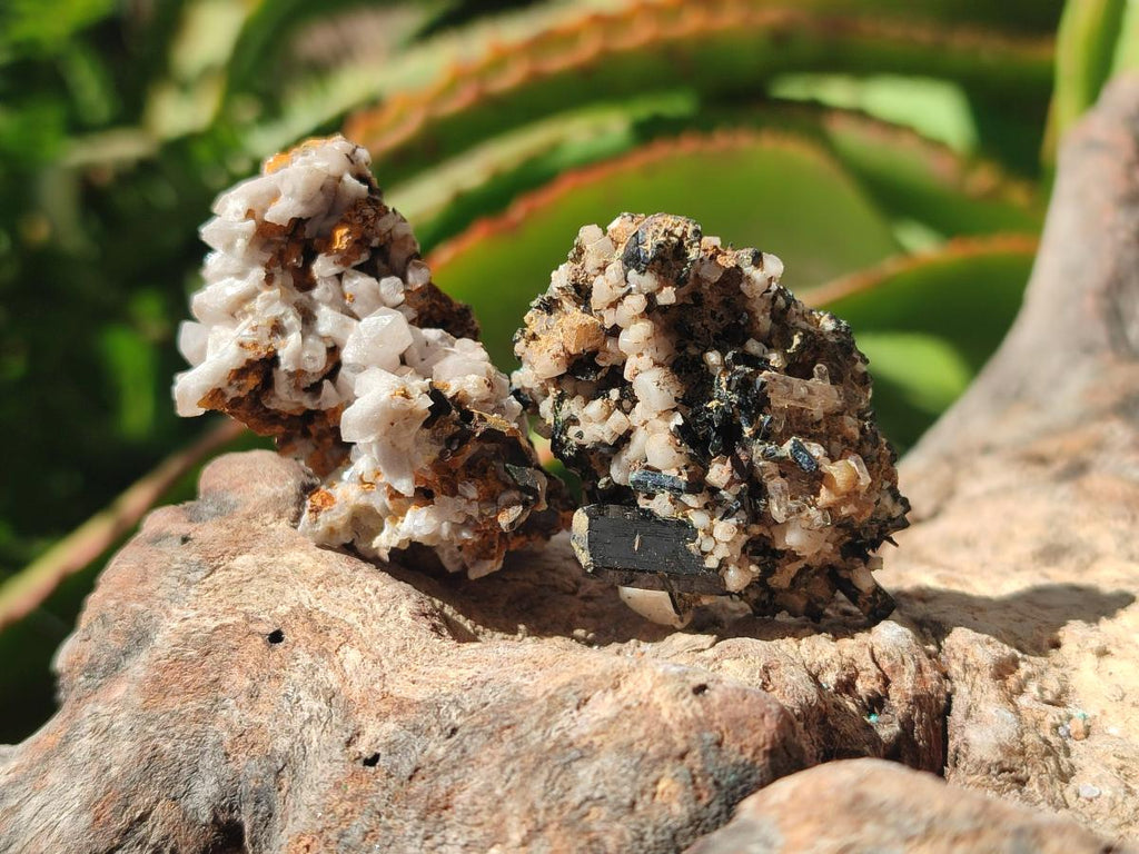Natural Aegirine Crystals with Associated Minerals x 29 From Zomba, Malawi - Toprock Gemstones and Minerals 