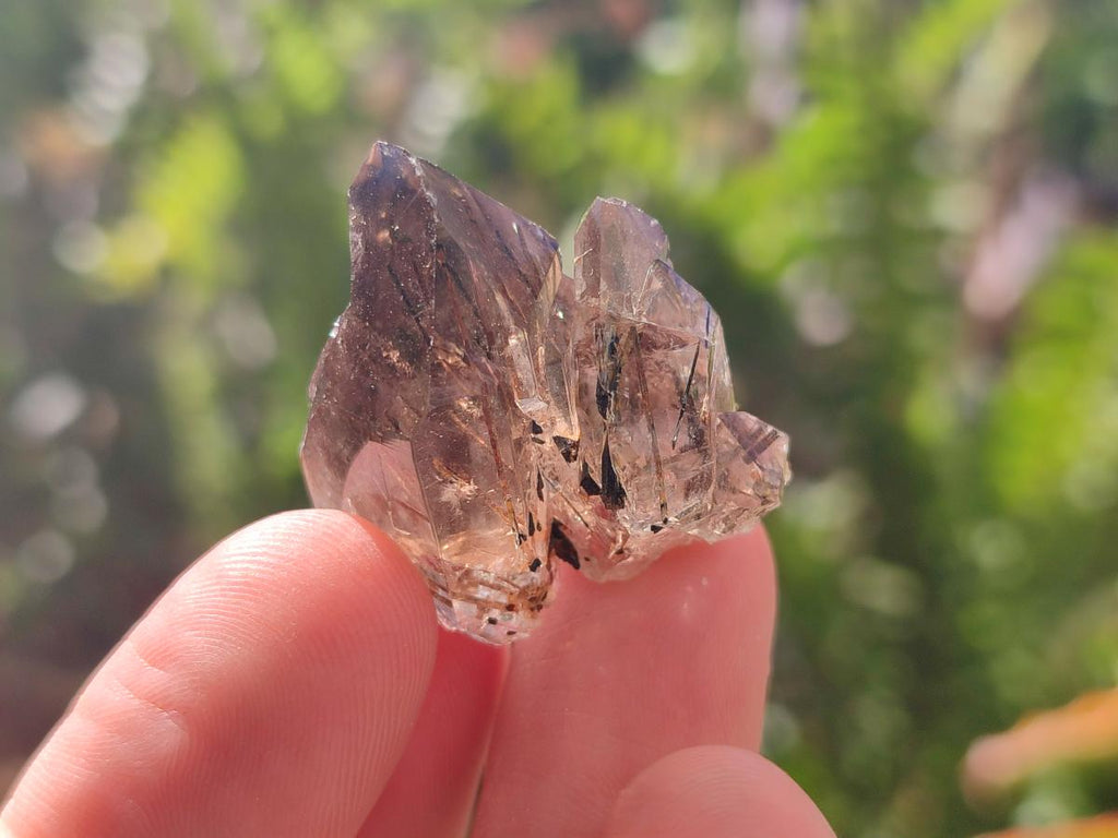 Natural Aegirine Crystals with Associated Minerals x 29 From Zomba, Malawi - Toprock Gemstones and Minerals 