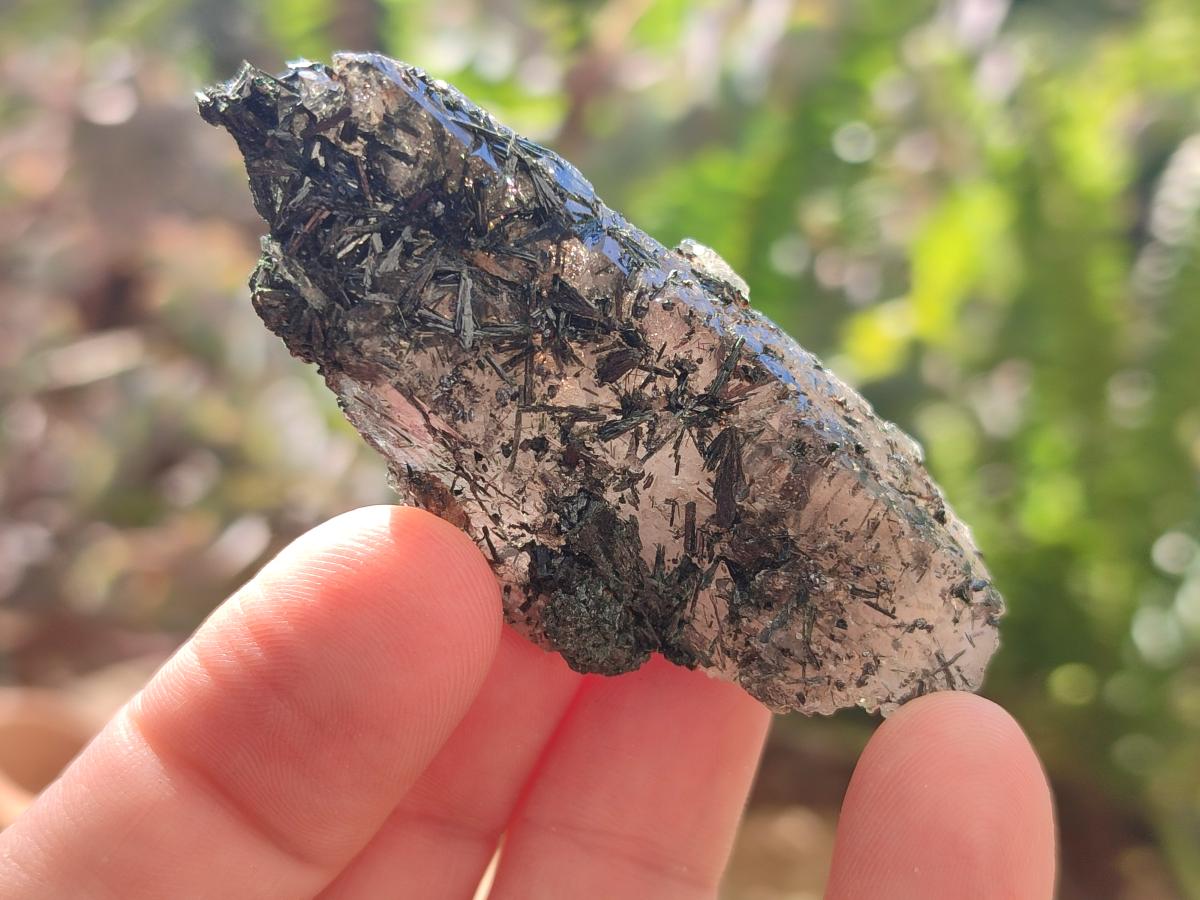 Natural Aegirine Crystals with Associated Minerals x 29 From Zomba, Malawi - Toprock Gemstones and Minerals 