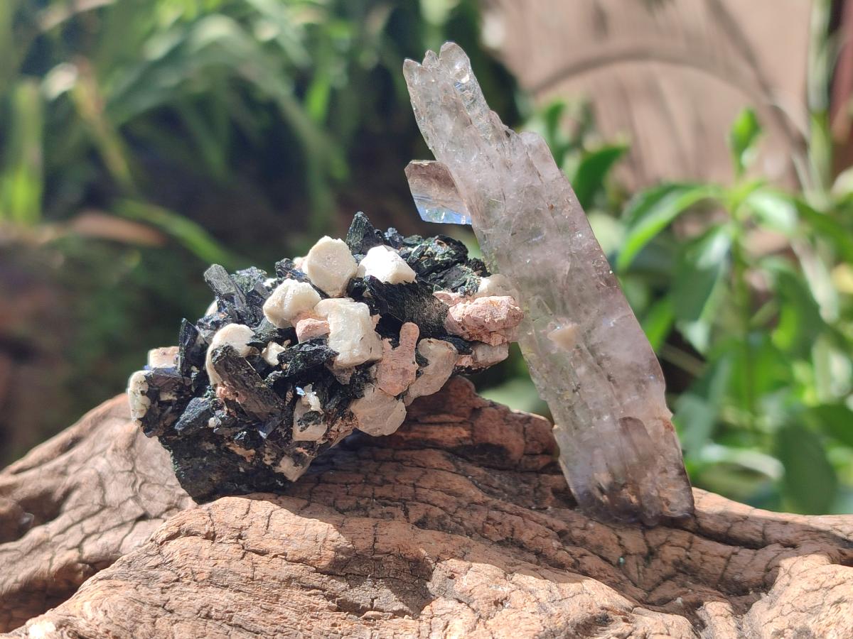 Natural Aegirine Crystals with Associated Minerals x 29 From Zomba, Malawi - Toprock Gemstones and Minerals 