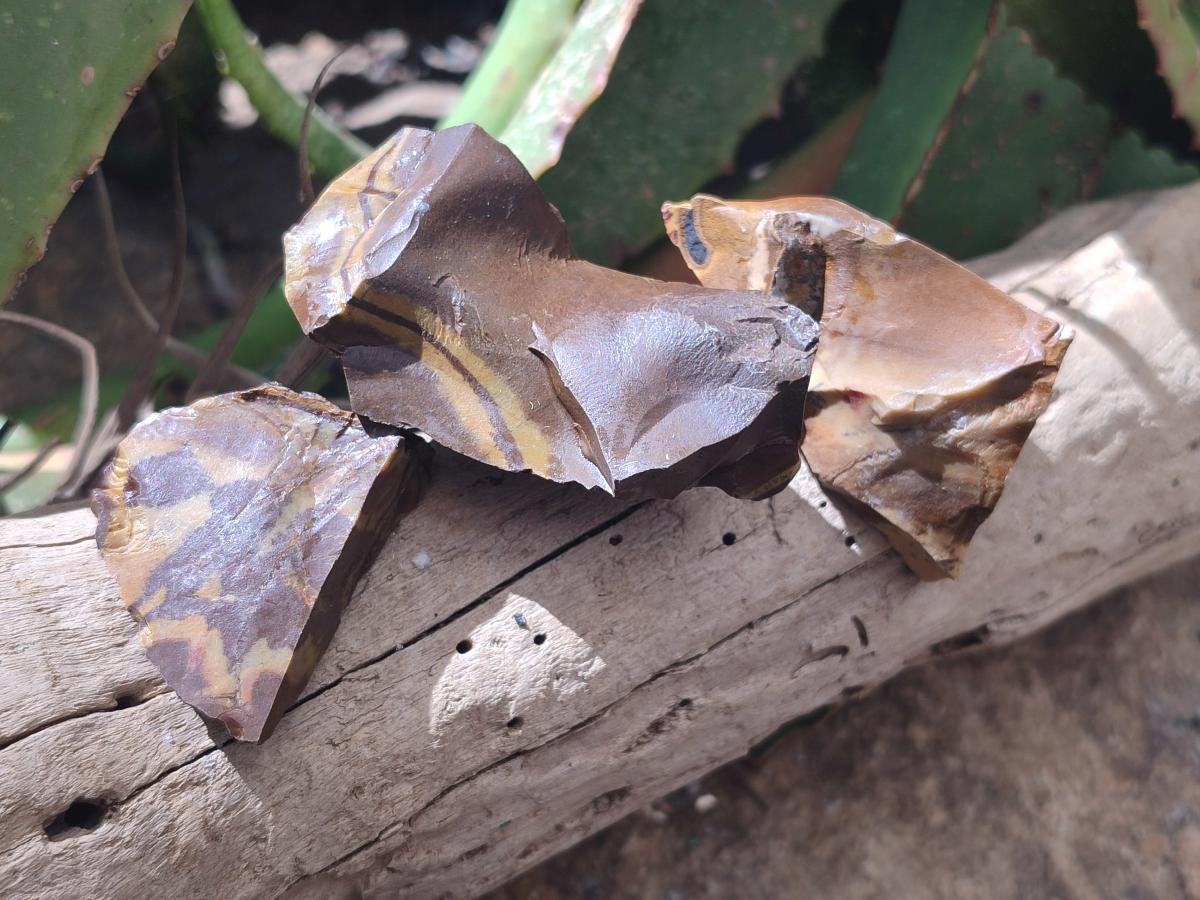 Natural Nguni Jasper Cobbed Specimens x 67 From Northern Cape, South Africa - Toprock Gemstones and Minerals 