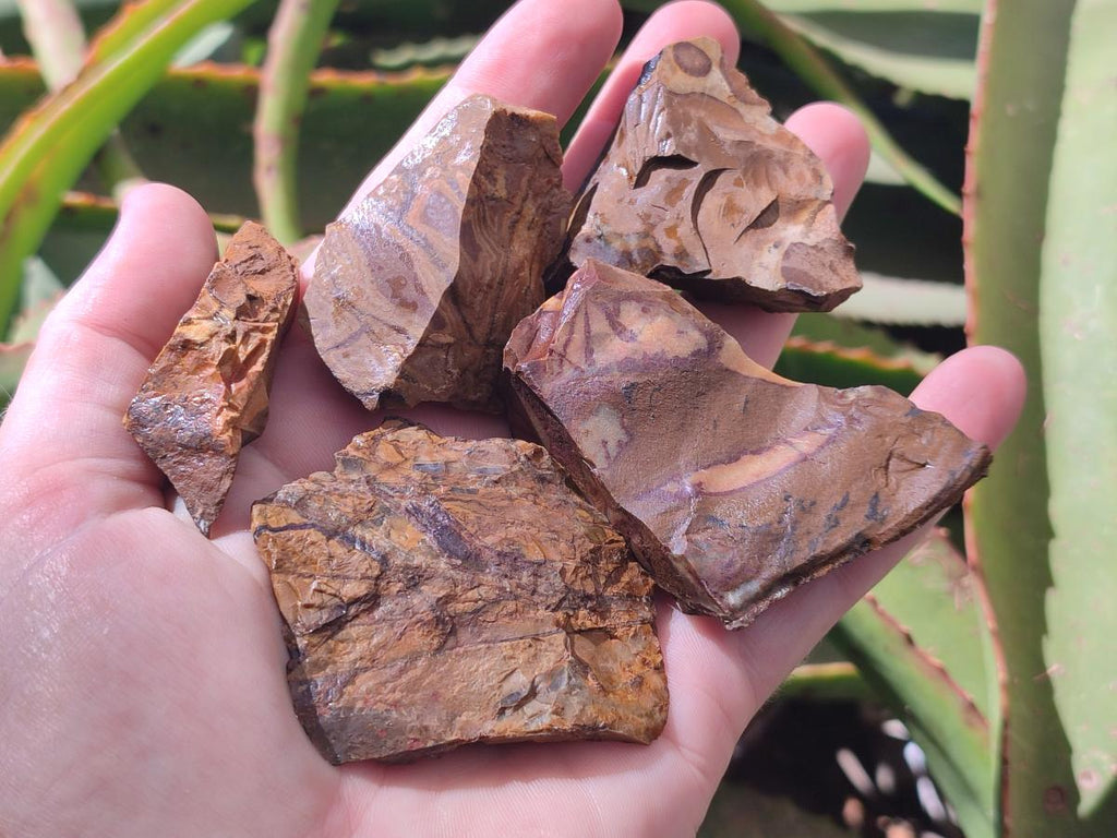 Natural Nguni Jasper Cobbed Specimens x 67 From Northern Cape, South Africa - Toprock Gemstones and Minerals 