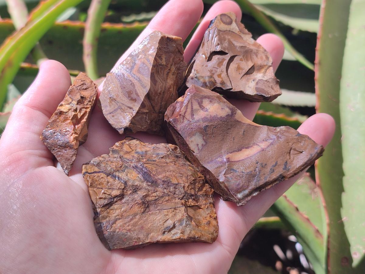 Natural Nguni Jasper Cobbed Specimens x 67 From Northern Cape, South Africa - Toprock Gemstones and Minerals 