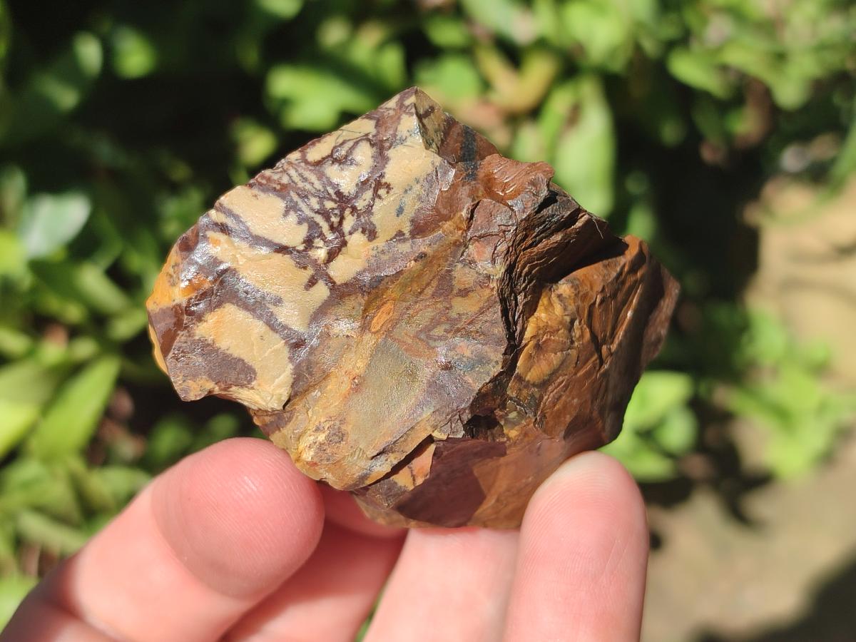 Natural Nguni Jasper Cobbed Specimens x 67 From Northern Cape, South Africa - Toprock Gemstones and Minerals 