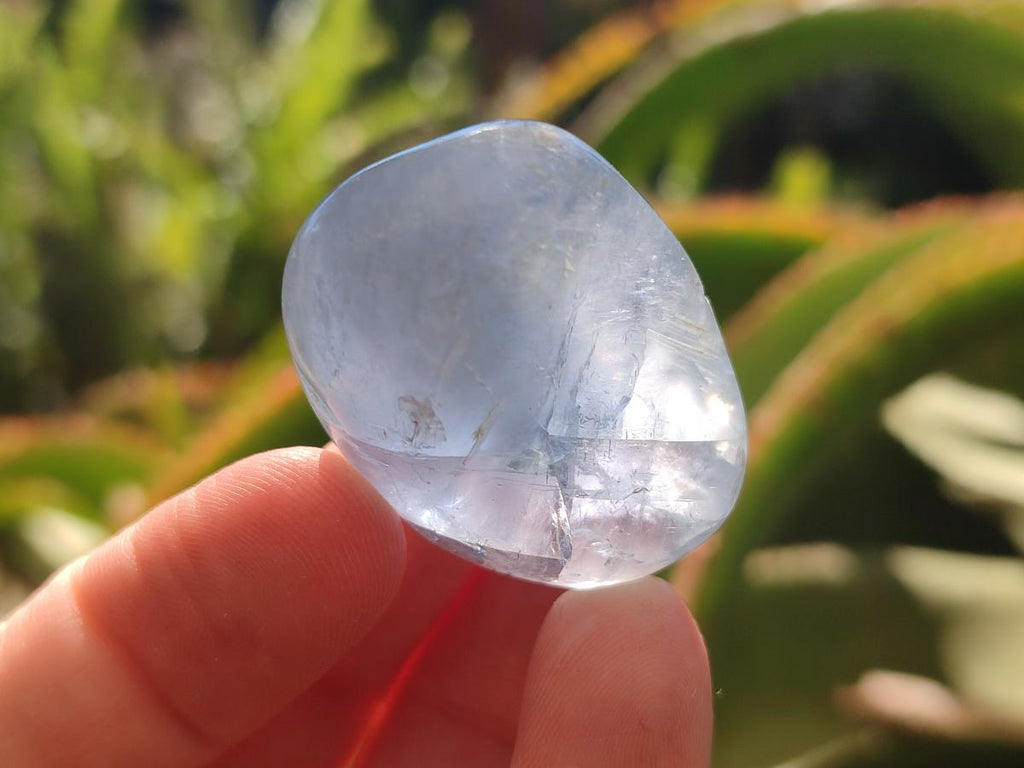 Polished Mini Blue Celestite Free Forms x 40 From Sakoany, Madagascar - Toprock Gemstones and Minerals 