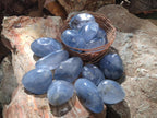 Polished Mini Blue Celestite Free Forms x 40 From Sakoany, Madagascar - Toprock Gemstones and Minerals 
