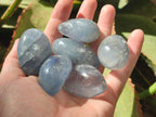 Polished Mini Blue Celestite Free Forms x 40 From Sakoany, Madagascar - Toprock Gemstones and Minerals 
