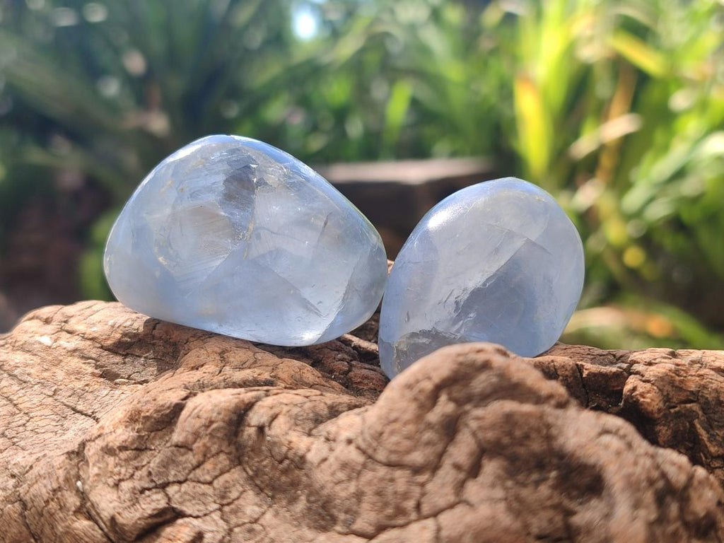 Polished Mini Blue Celestite Free Forms x 40 From Sakoany, Madagascar - Toprock Gemstones and Minerals 
