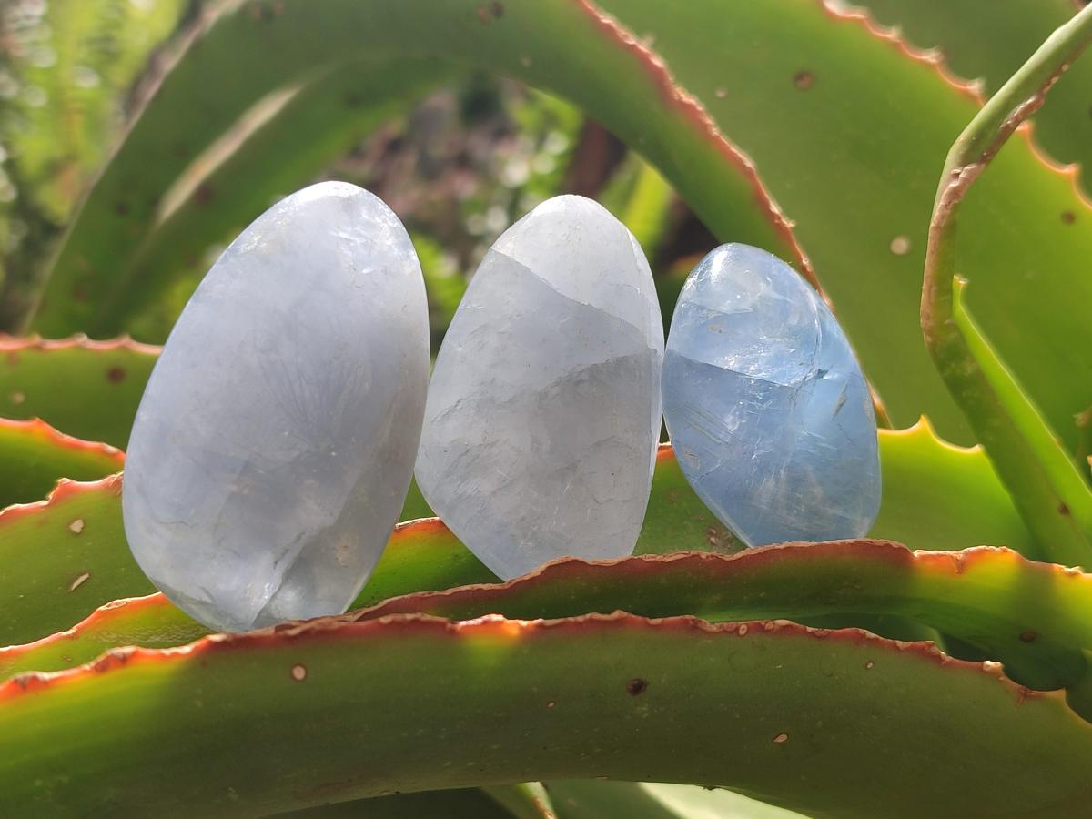 Polished Mini Blue Celestite Free Forms x 40 From Sakoany, Madagascar - Toprock Gemstones and Minerals 