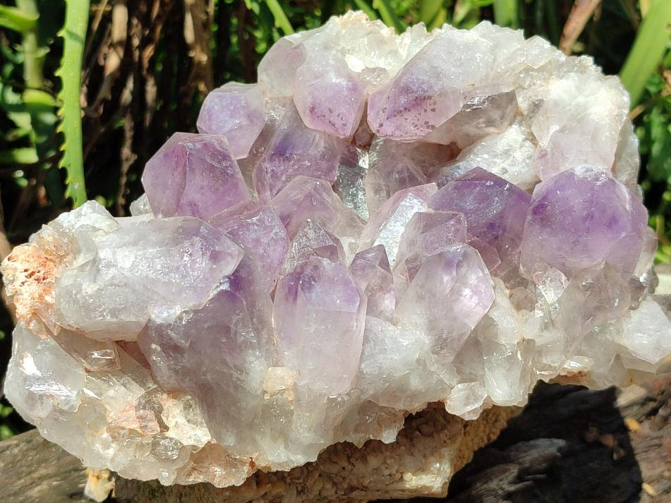 Natural Jacaranda Amethyst Crystal Clusters x 2 From Mumbwa, Zambia - Toprock Gemstones and Minerals 