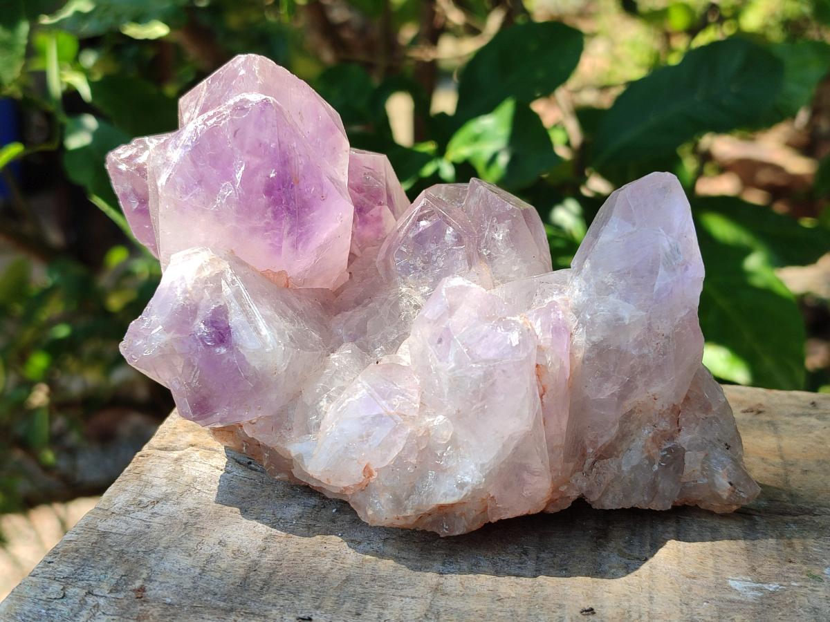 Natural Jacaranda Amethyst Crystal Clusters x 2 From Mumbwa, Zambia - Toprock Gemstones and Minerals 