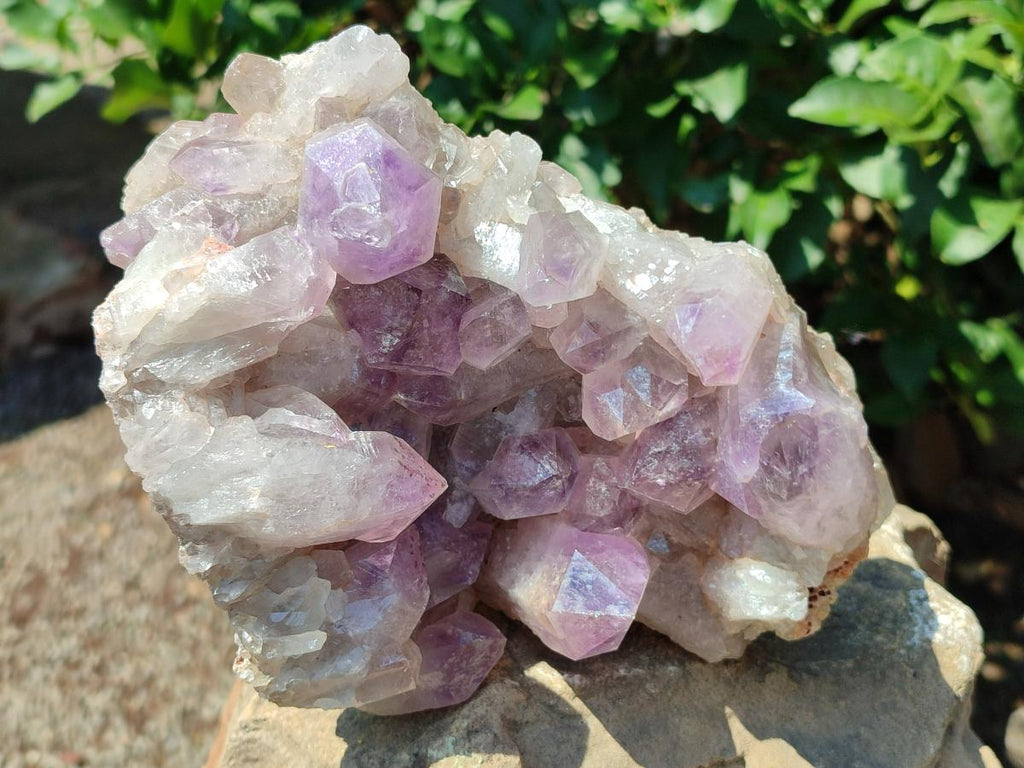 Natural Jacaranda Amethyst Crystal Clusters x 2 From Mumbwa, Zambia - Toprock Gemstones and Minerals 