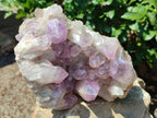 Natural Jacaranda Amethyst Crystal Clusters x 2 From Mumbwa, Zambia - Toprock Gemstones and Minerals 