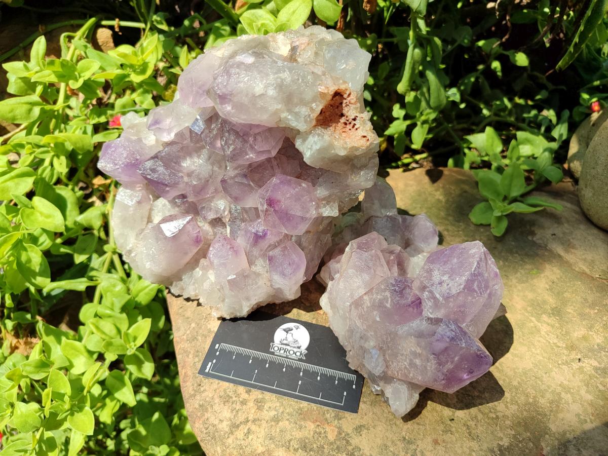 Natural Jacaranda Amethyst Crystal Clusters x 2 From Mumbwa, Zambia - Toprock Gemstones and Minerals 