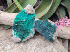 Natural Crystalline Malachite Specimens x 2 From Tenke Fungurume, Congo - Toprock Gemstones and Minerals 