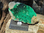 Natural Crystalline Malachite Specimens x 2 From Tenke Fungurume, Congo - Toprock Gemstones and Minerals 