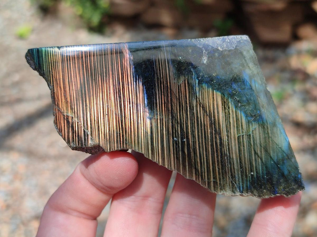 Polished One Side Labradorite Specimens x 12 From Madagascar - Toprock Gemstones and Minerals 