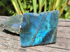 Polished One Side Labradorite Specimens x 12 From Madagascar - Toprock Gemstones and Minerals 