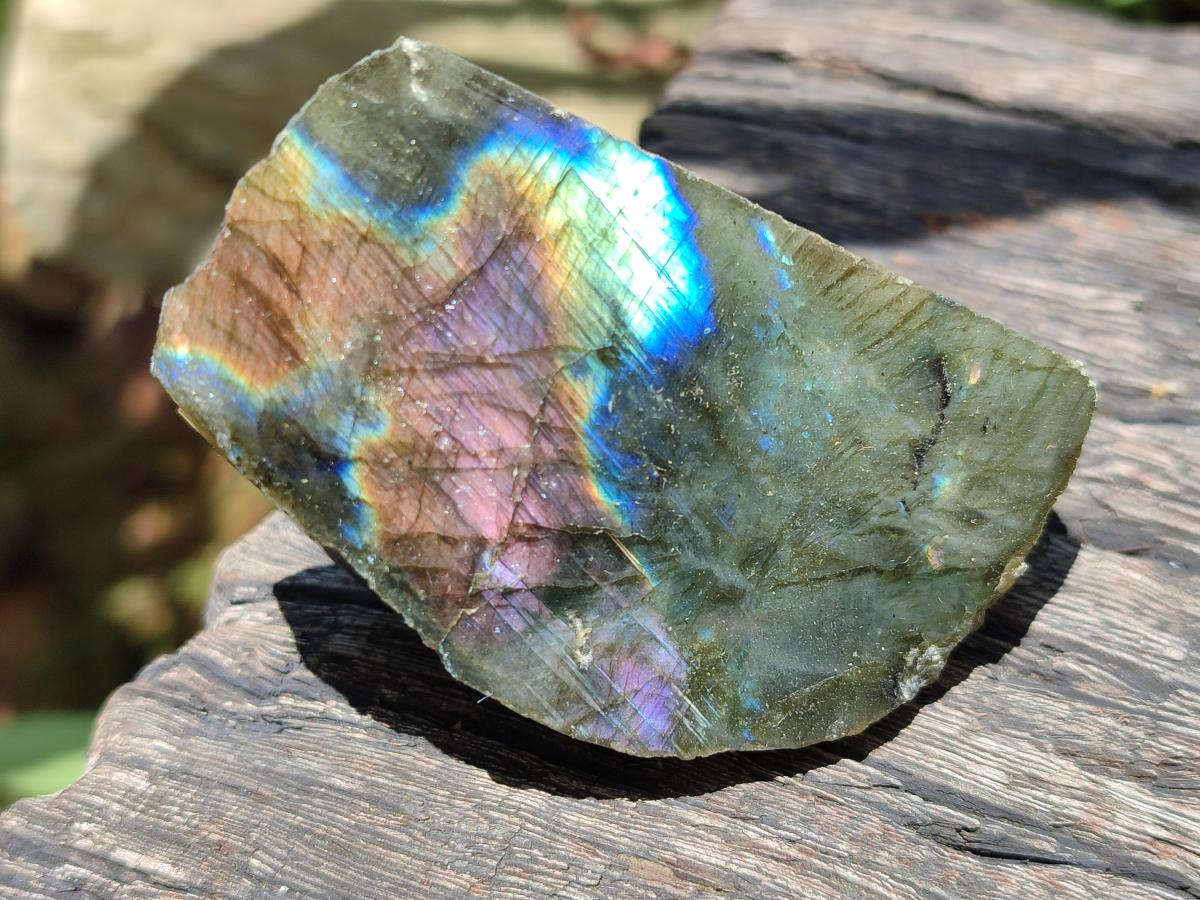 Polished One Side Labradorite Specimens x 12 From Madagascar - Toprock Gemstones and Minerals 