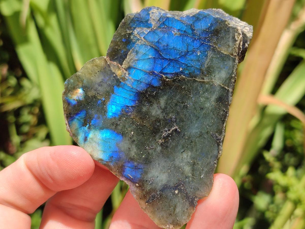 Polished One Side Labradorite Specimens x 12 From Madagascar - Toprock Gemstones and Minerals 