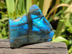 Polished One Side Labradorite Specimens x 12 From Madagascar - Toprock Gemstones and Minerals 