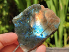 Polished One Side Labradorite Specimens x 12 From Madagascar - Toprock Gemstones and Minerals 