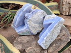 Natural Blue Lace Agate Geode Specimens x 2 From Nsanje, Malawi - Toprock Gemstones and Minerals 