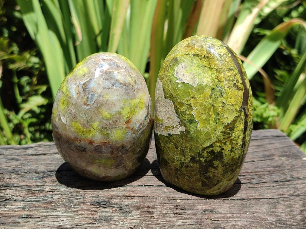 Polished Green Opal Standing Free Forms x 6 From Betroka, Madagascar - Toprock Gemstones and Minerals 