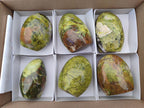 Polished Green Opal Standing Free Forms x 6 From Betroka, Madagascar - Toprock Gemstones and Minerals 