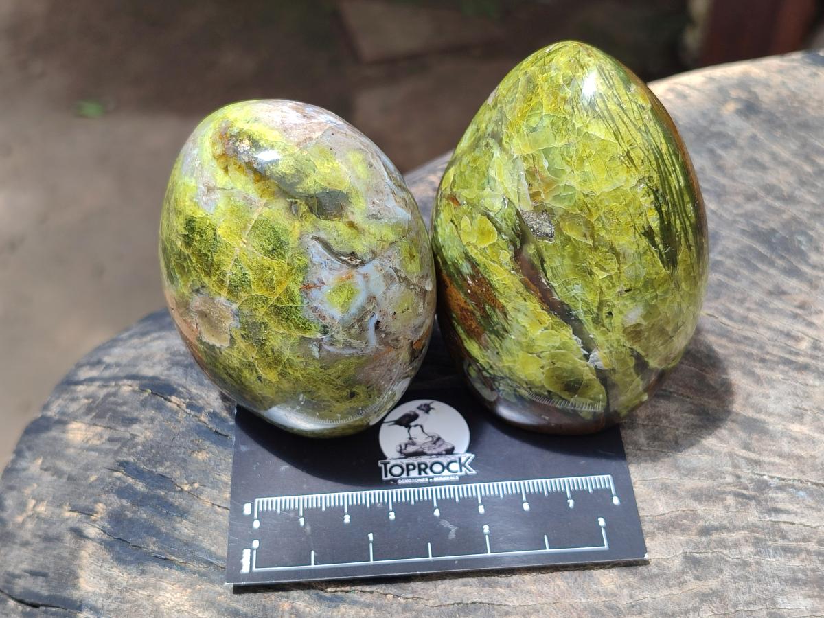Polished Green Opal Standing Free Forms x 6 From Betroka, Madagascar - Toprock Gemstones and Minerals 