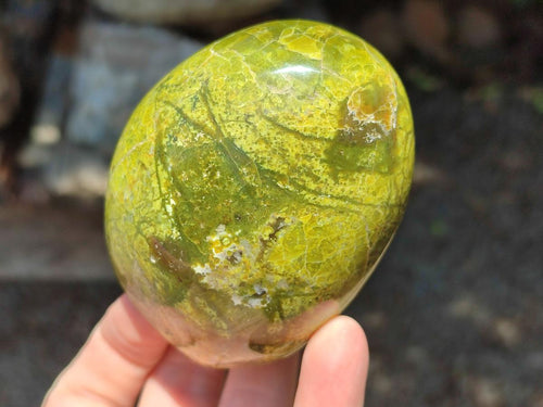 Polished Green Opal Standing Free Forms x 6 From Betroka, Madagascar - Toprock Gemstones and Minerals 