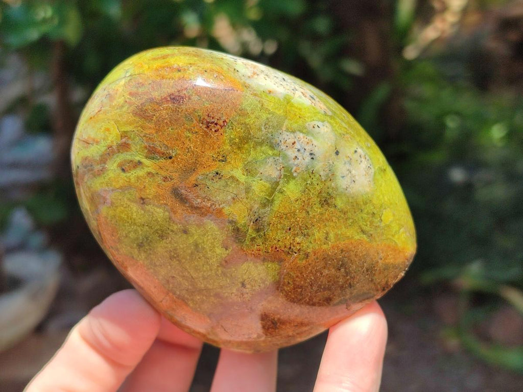 Polished Green Opal Standing Free Forms x 6 From Betroka, Madagascar - Toprock Gemstones and Minerals 