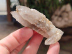 Natural Drusy Quartz Coated Spearhead Calcite Crystals x 12 From Albert's Mountain, Lesotho - Toprock Gemstones and Minerals 