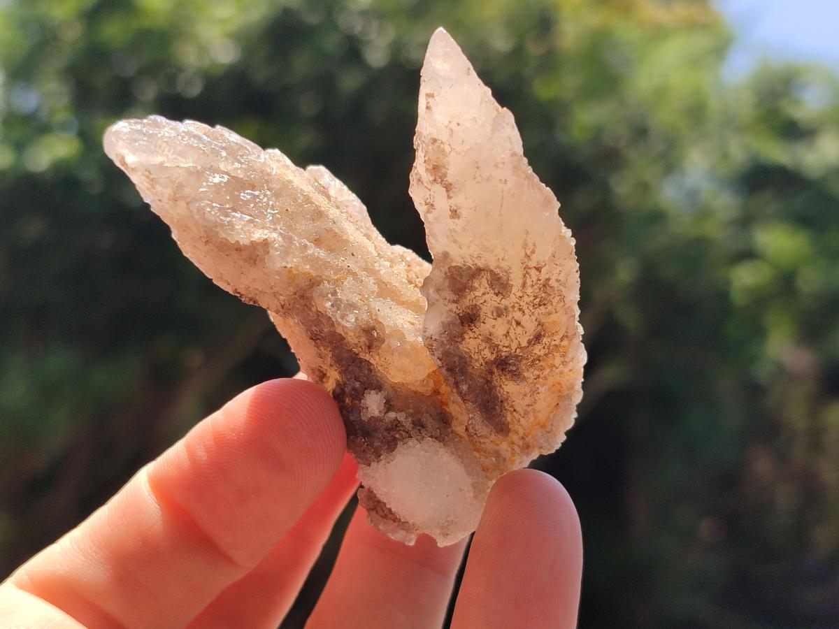 Natural Drusy Quartz Coated Spearhead Calcite Crystals x 12 From Albert's Mountain, Lesotho - Toprock Gemstones and Minerals 