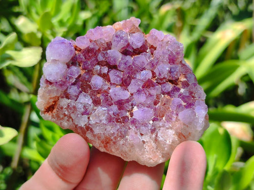 Natural Amethyst Spirit Clusters x 38 From Boekenhouthoek, South Africa - Toprock Gemstones and Minerals 