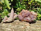 Natural Amethyst Spirit Clusters x 38 From Boekenhouthoek, South Africa - Toprock Gemstones and Minerals 
