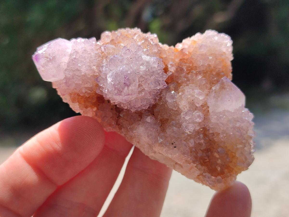 Natural Amethyst Spirit Clusters x 38 From Boekenhouthoek, South Africa - Toprock Gemstones and Minerals 