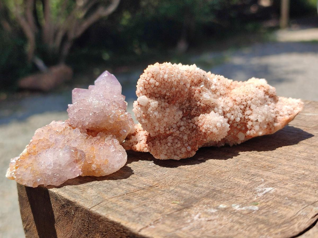 Natural Amethyst Spirit Clusters x 38 From Boekenhouthoek, South Africa - Toprock Gemstones and Minerals 