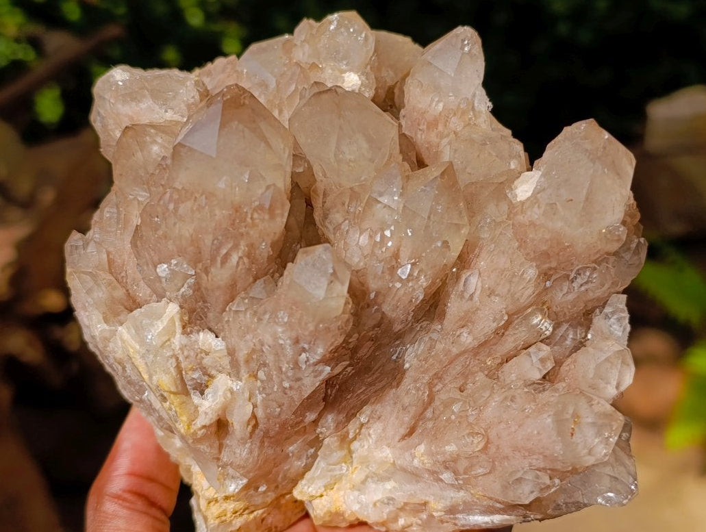 Natural Large Clear Smokey Quartz Cluster x 1 From Luena, Congo - Toprock Gemstones and Minerals 