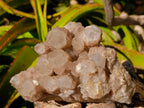 Natural Large Clear Smokey Quartz Cluster x 1 From Luena, Congo - Toprock Gemstones and Minerals 